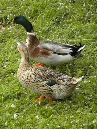 703