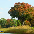 ボート池のまわりも秋の色♪