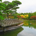 日本庭園の池のまわりも