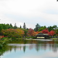 日本庭園の池のまわりも