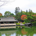 Photos: 日本庭園の池のまわりも