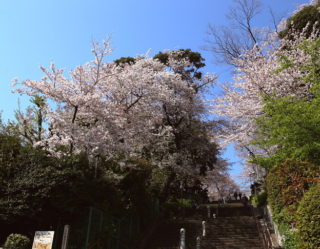ikh3659