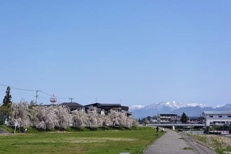 DSC_3660-1