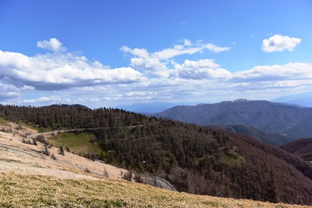 DSC_4308-1
