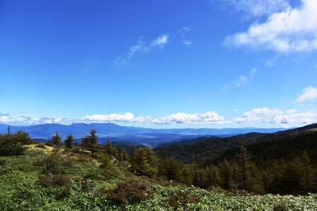 美ヶ原高原