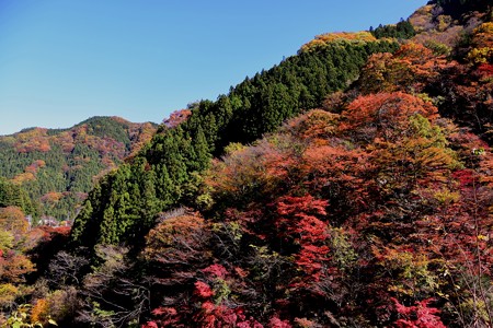中津峡