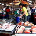 Photos: 市場の魚屋