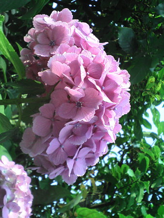 20090619154343