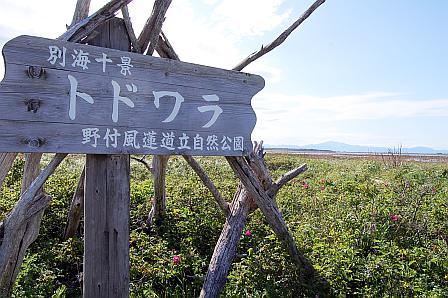 看板