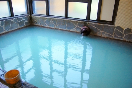白濁した湯面