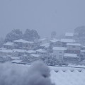 Photos: 雪がふる～３