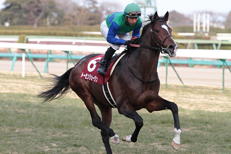 トーセンジョーダン1_2011AJCC