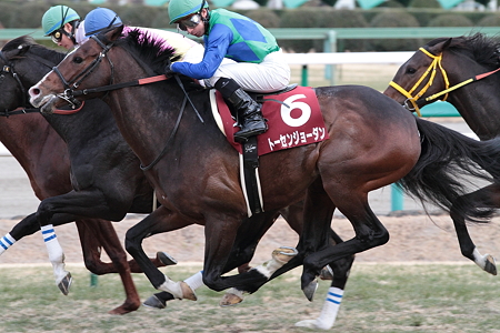 トーセンジョーダン2_2011AJCC