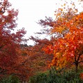 DSCF5853s-