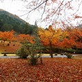 高源寺（３）
