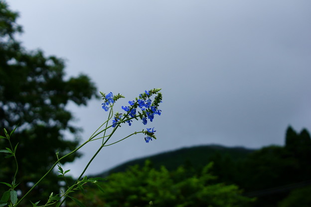 雨の止み間に