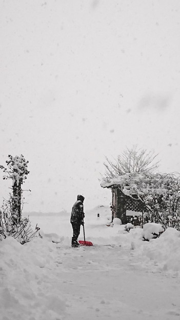 雪かきする人