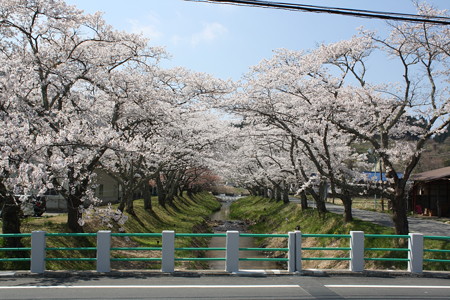 川渡温泉湯沢川堤防