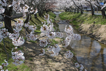 川渡温泉湯沢川堤防