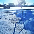 Photos: 珍しい雪の朝＠鏡開きの日