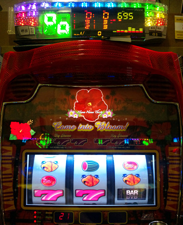 DVC00058_edited