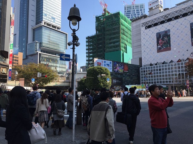 写真: 7