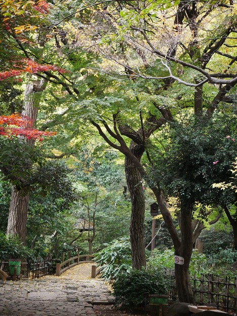 写真: 11