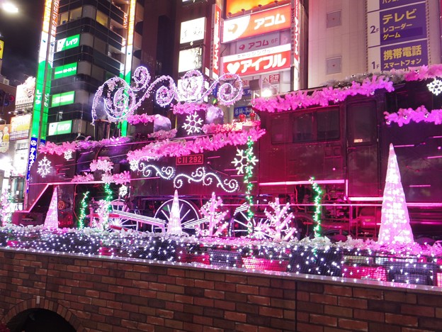 写真: 13
