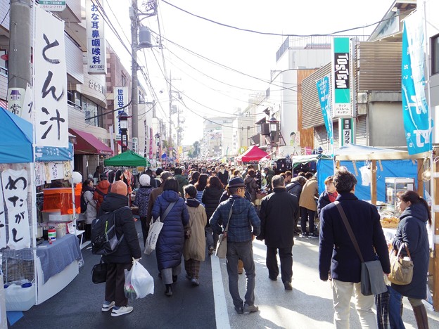 写真: 12