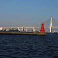 Photos: ベイブリッジ_横浜 D4003