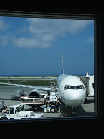 P8016205