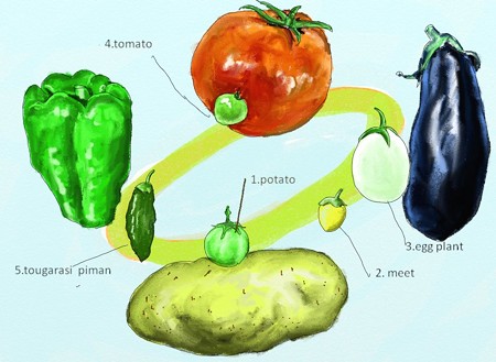 ナス科野菜の原種