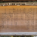 秩父神社（埼玉県）