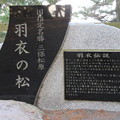 三保の松原（清水区）羽衣の松