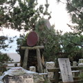 三保の松原（清水区）羽衣の松