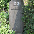 佐助ヶ谷 蓮華寺趾（鎌倉市）