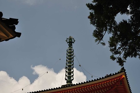 1008211243_DSC_8220