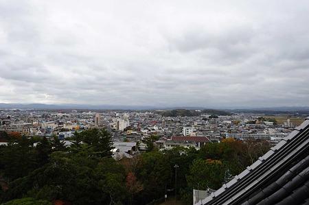 1011230954_DSC_4213