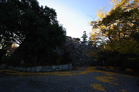 1011231506_DSC_4711
