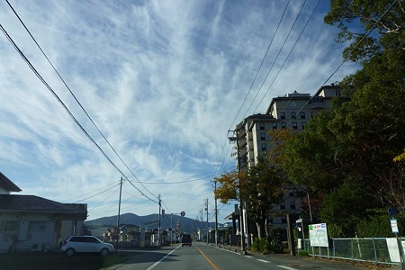 1011240854_P1710839