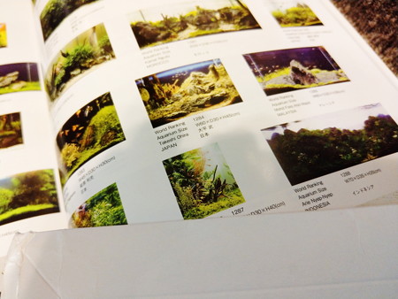IMAG0094 (2)