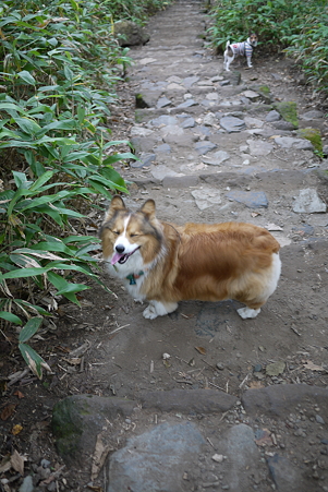 P1000053