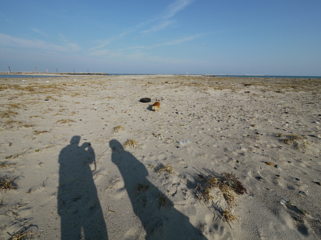 P1120673