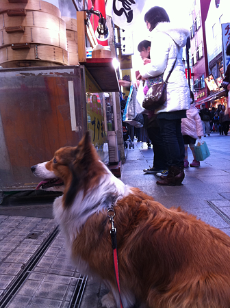 写真 1