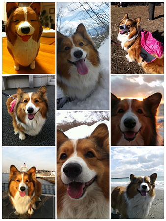 PhotoShake