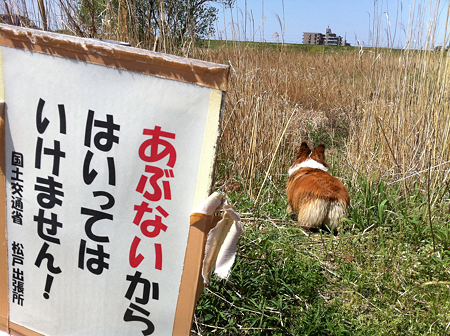 写真 1