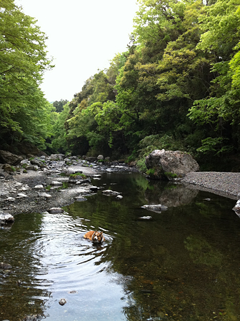 写真 2