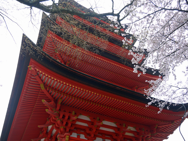 五重塔(6)