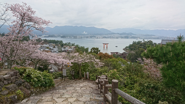 平松茶屋からの眺め(2)