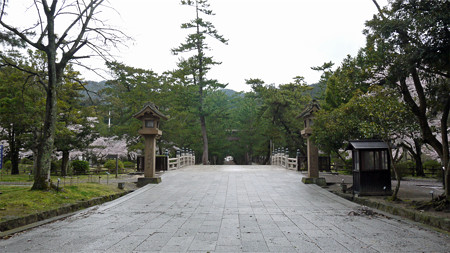 出雲大社(10)